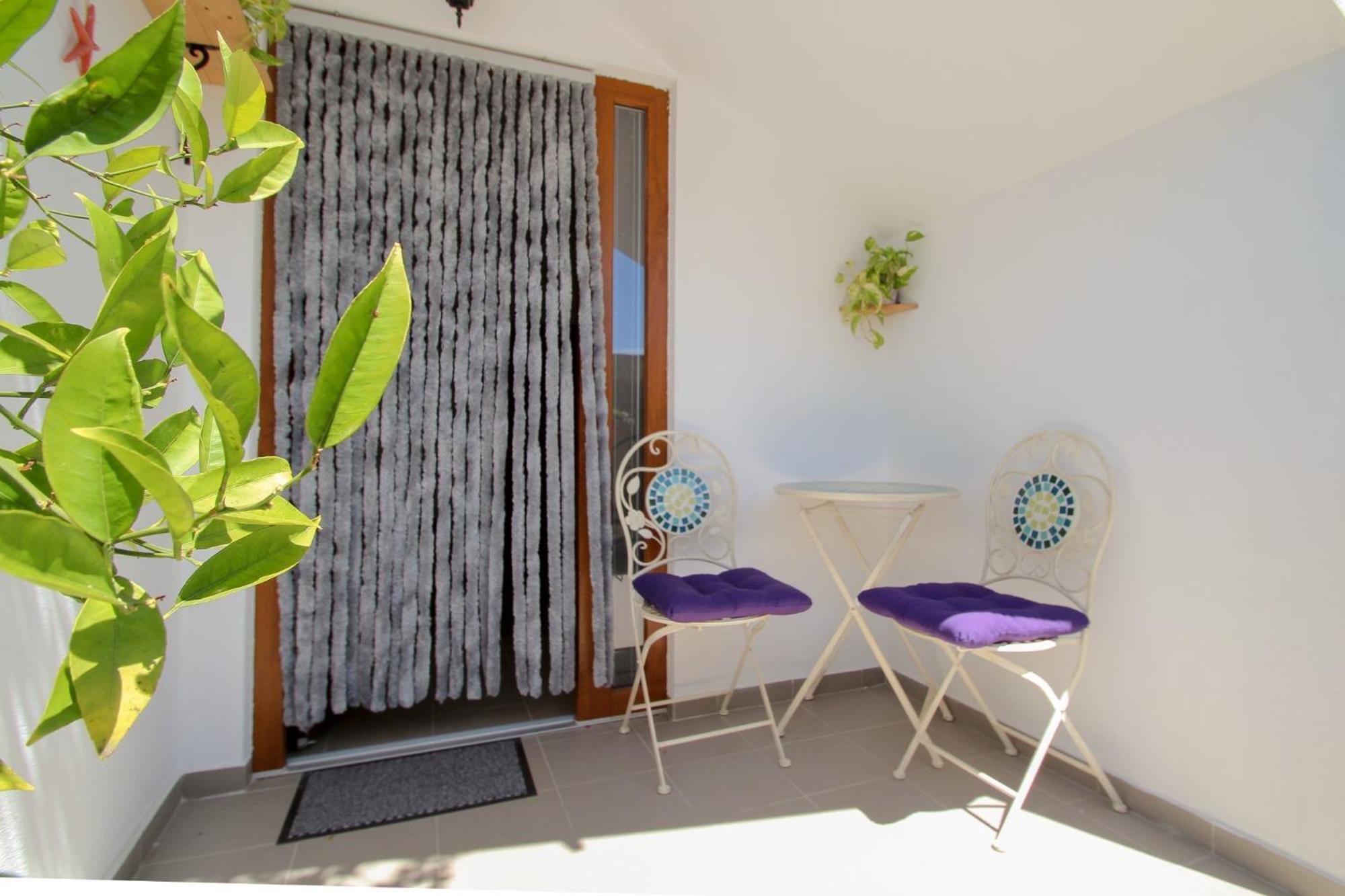 Apartment Tomas Novigrad Istria Exterior foto