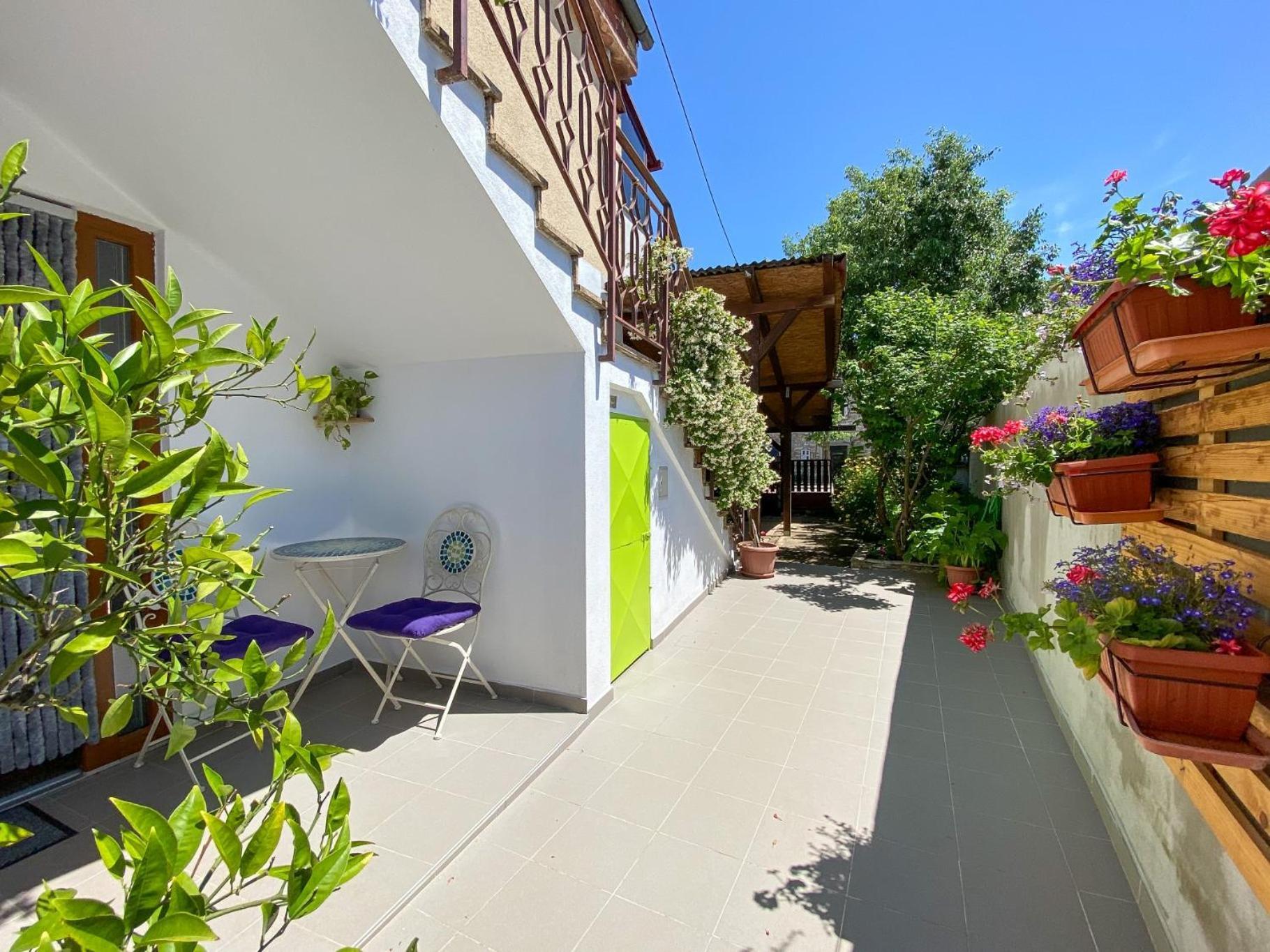 Apartment Tomas Novigrad Istria Exterior foto