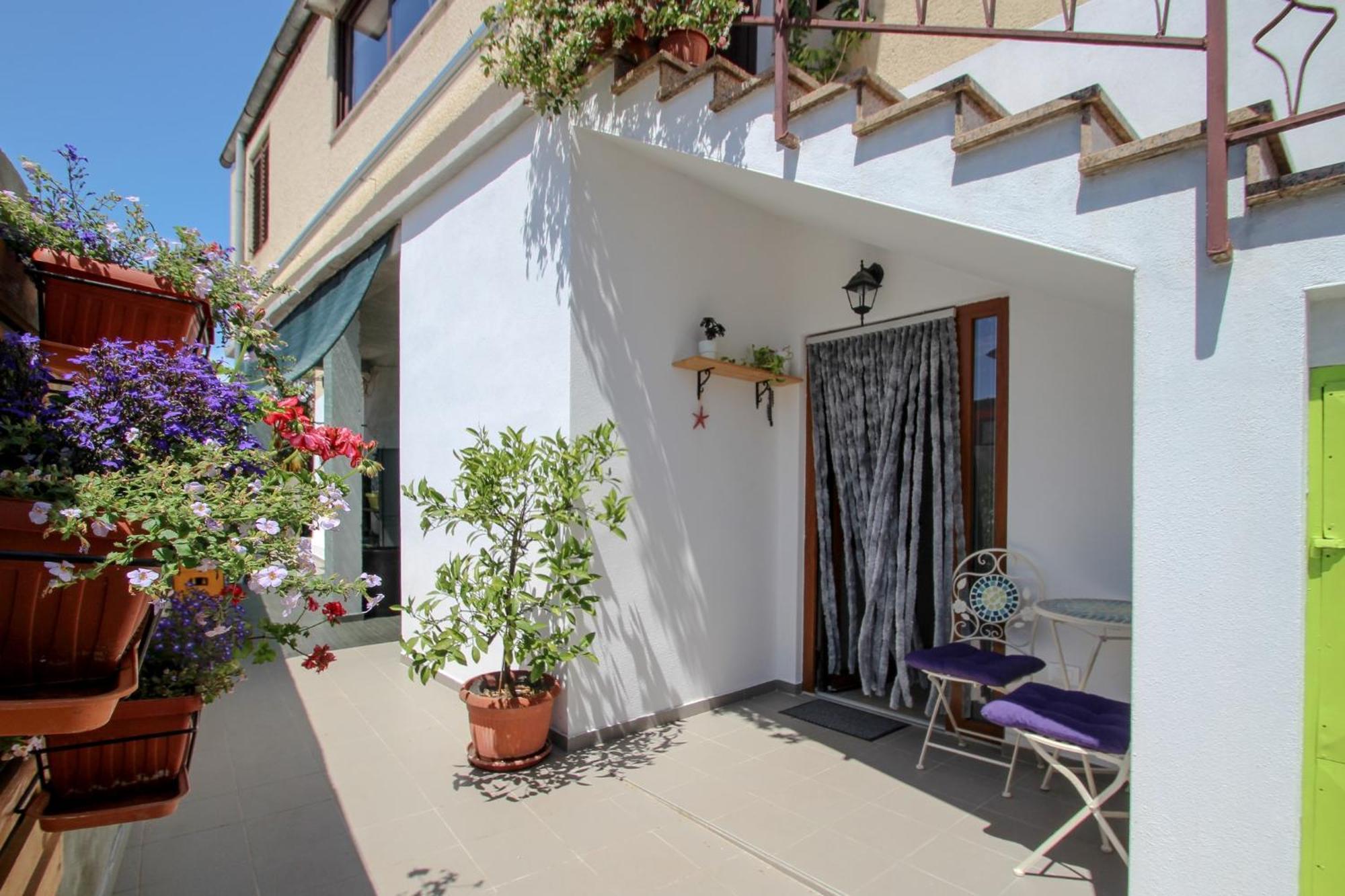 Apartment Tomas Novigrad Istria Exterior foto