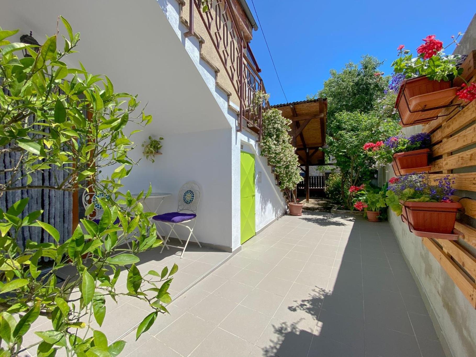 Apartment Tomas Novigrad Istria Exterior foto